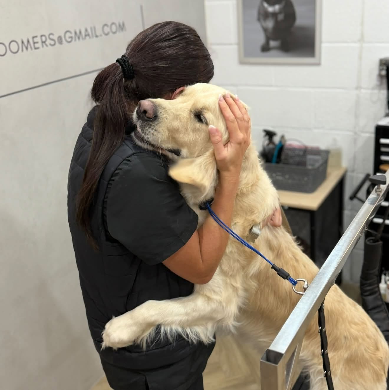 Lucy hugging a golden retriever standing on the grooming table